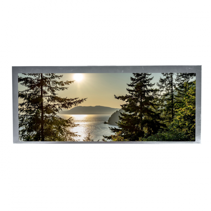 16.7M Color Bar Type LVDS TFT Display 500 Nits With LVDS Interface 4