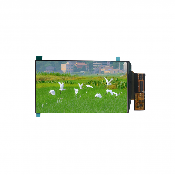 5.0 Inch HD OLED Small Screen Module 350cd/M2 720*1280 Pixel 5