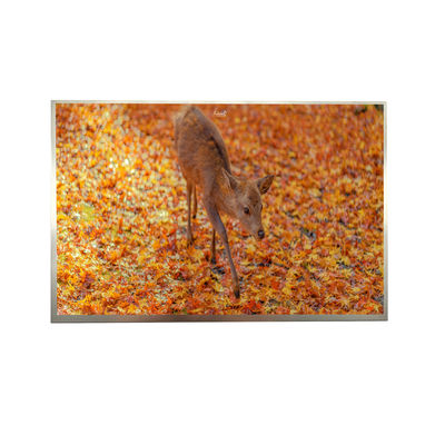 Buy 8'' IPS FHD LVDS TFT Display 1000cd Luminance 1920*1200 Resolution online manufacture
