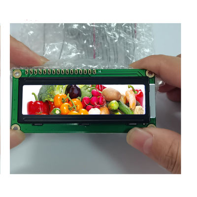 Buy 16x2 2x16 LCD Transflective Lcd Display Module 1602 Character online manufacture