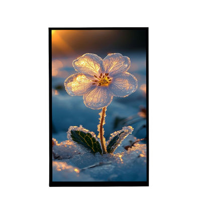Buy 10.1 Inch Portrait Screen IPS Viewing 800x1280 Resolution Tft Lcd Display For Car online manufacture