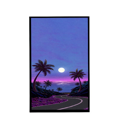 Buy 10.1 Inch TFT LCD Display All Viewing Angle Transmissive Connection Pin 40PIN Storage Temp -30°C -70°C online manufacture
