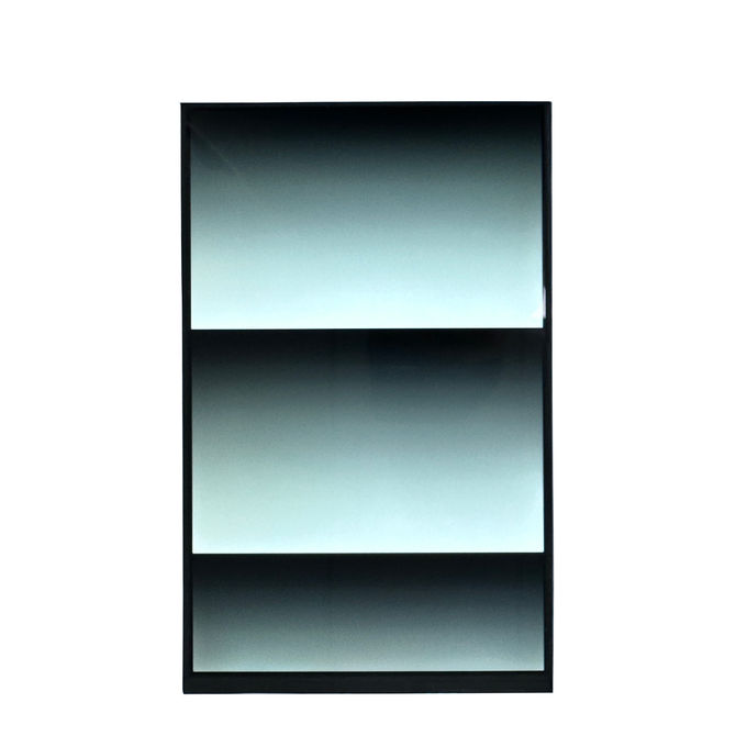 Portrait 800X1280 Sceen 10.1 Inch Tft Lcd Display All Viewing Angle MIPI Interface Lcd Screen 1