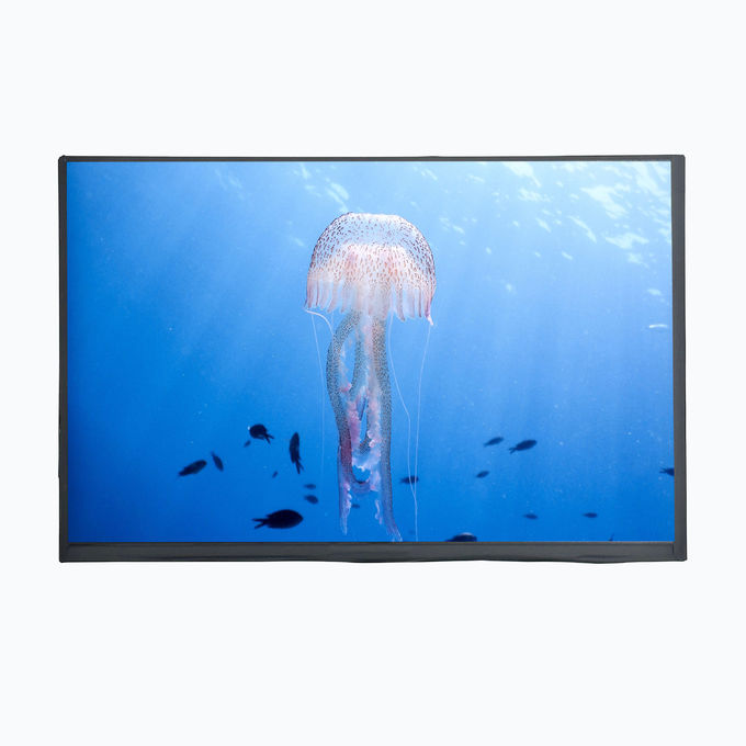 LCD Mall 10.1 Inch TFT LCD Display With EM Touch Panel 750cd/m2 1280XRGBX800 Resolution 0